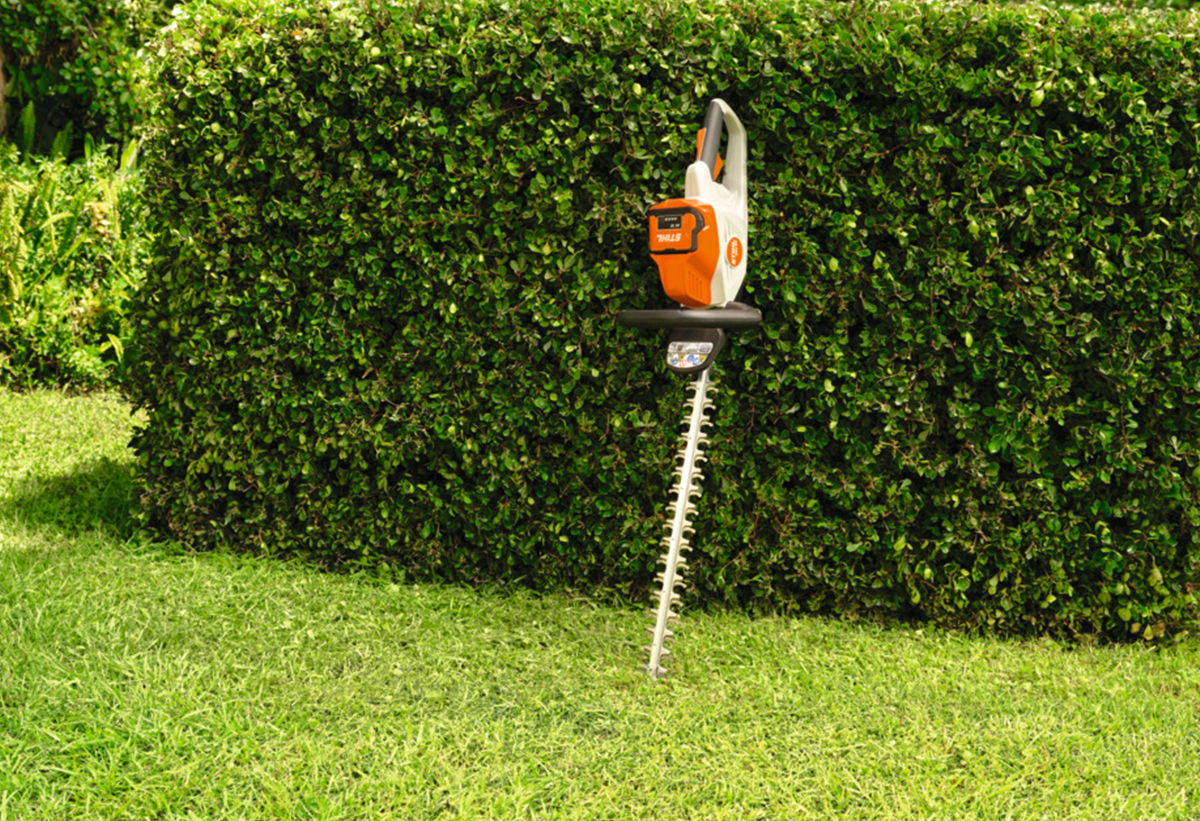 Εδώ απεικονίζεται το εργαλείο δίπλα σε έναν θάμνο.